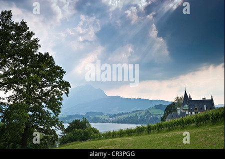Château de Meggenhorn château sur le lac de Lucerne, dans la distance, Pilatus, montagne suisse, Europe Banque D'Images