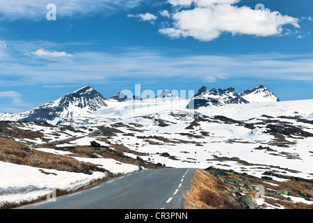 Sognefjellet mountain, Norway, Scandinavia, Europe Banque D'Images