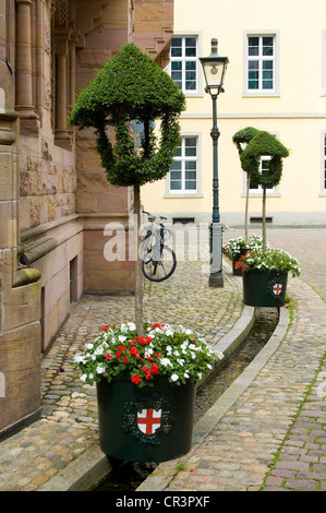 Quartier historique avec "Baechle", un petit rempli d'eau runnel, Freiburg im Breisgau, Bade-Wurtemberg, Allemagne, Europe Banque D'Images