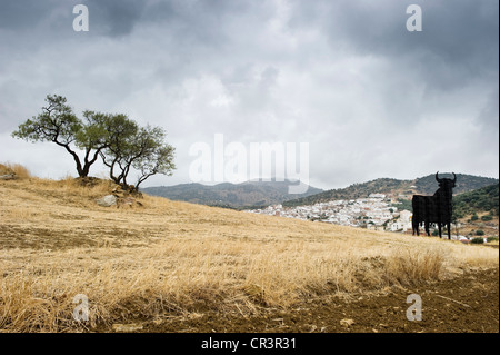 Près de Malaga, Andalousie, Espagne, Europe Banque D'Images