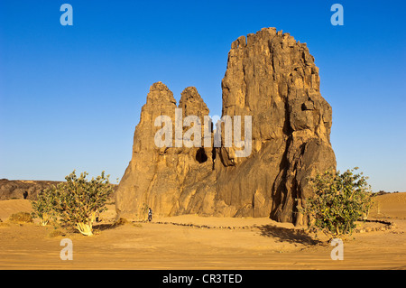 L'Algérie, Sahara près de Djanet, Tassili N'Ajjer, Massif du parc national classé au Patrimoine Mondial de l'UNESCO, appelé la gravure rock vache pleurer Banque D'Images