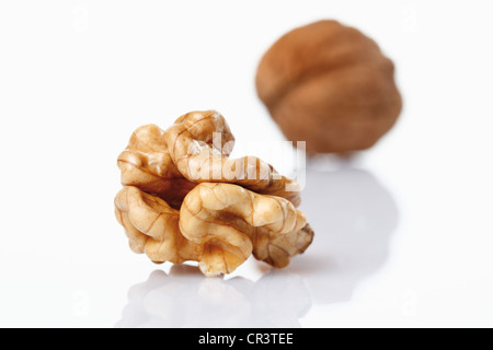 Noyer (Juglans regia), noix et fruits un noyau Banque D'Images