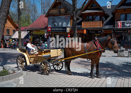 Europe de l'Est Pologne Région Montagne des Tatras Zakopane cheval et le transport en zone piétonne principale Krupowki Mall Banque D'Images