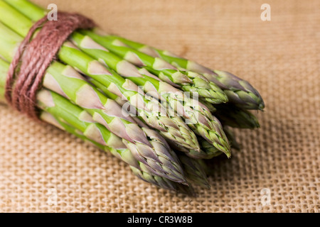 Asparagus officinalis. Un bouquet d'asperges sur un fond de toile de jute. Banque D'Images