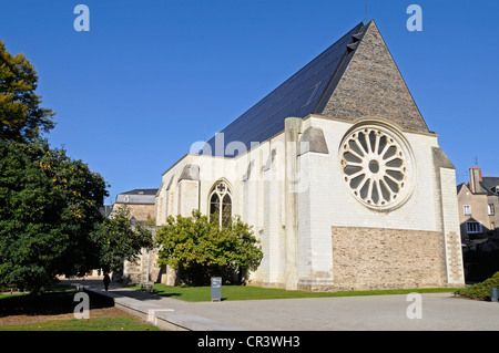 Galerie, Musée, David d'Angers, sculpteur, église de l'abbaye de Toussaint, Angers, département du Maine-et-Loire, Pays de la Loire Banque D'Images