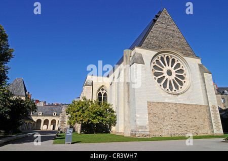 Galerie, Musée, David d'Angers, sculpteur, église de l'abbaye de Toussaint, Angers, département du Maine-et-Loire, Pays de la Loire Banque D'Images