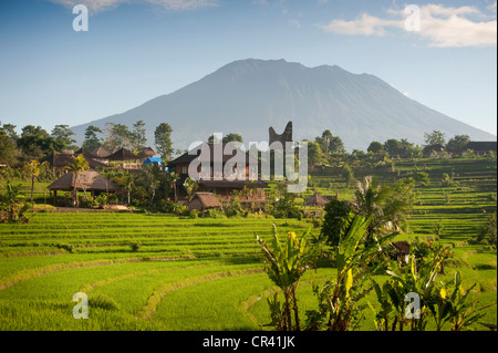 Gunung Agung avec en arrière-plan, la belle terrasses de riz de Sidemen, Bali, sont vus au lever du soleil. Banque D'Images