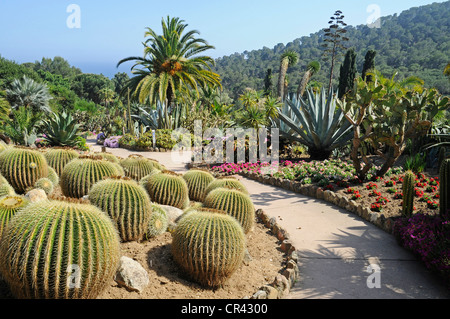 Jardin botanique Mar i Murtra Jardi Botanic, Marimurtra, Blanes, Costa Blanca, Communauté Valencienne, Espagne, Europe Banque D'Images