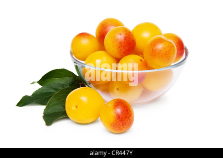 Bol en verre de la prune damson jaune isolé sur fond blanc Banque D'Images