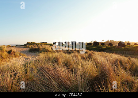 Walberswick Cabanes de plage et de dunes de sable, lumière du soir, Suffolk, Angleterre, Royaume-Uni Banque D'Images