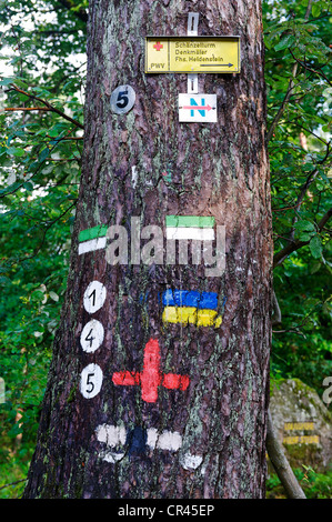 Les panneaux, les indications pour les sentiers de randonnée dans le Parc Naturel de la Forêt du Palatinat, Rhénanie-Palatinat, Allemagne, Europe Banque D'Images