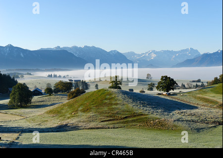 Matin d'automne brouillard de Aidlinger Hoehe près de Aidling, vue vers le mont Zugspitze, Pfaffenwinkel, Haute-Bavière, Bavière Banque D'Images