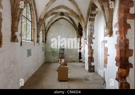 Chapelle Notre Dame, l'abbaye de Tintern, comté de Wexford, Irlande, Europe Banque D'Images
