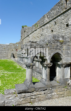 Ancienne Abbaye, Cong, dans le comté de Mayo, Irlande, Europe Banque D'Images