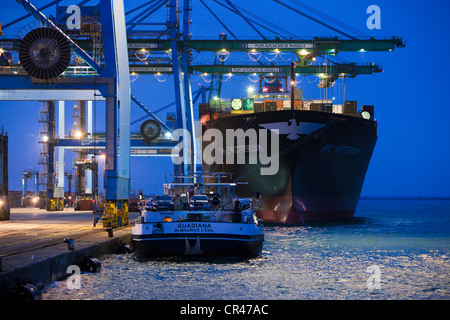 France, Bouches du Rhône, Fos sur Mer, port autonome de Marseille, Terminal Conteneurs Banque D'Images