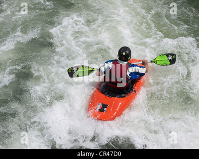 La kayakiste en kayak d'eau vive, Ginsheimer Nonnenau Altrhein, Island, Hesse, Germany, Europe Banque D'Images