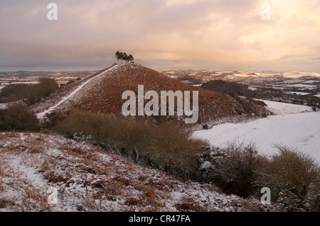 Colmer's Hill en hiver : cette modeste mais distinctive Hill est devenu un établissement emblématique de la région de West Bridport Dorset. Angleterre, Royaume-Uni. Banque D'Images