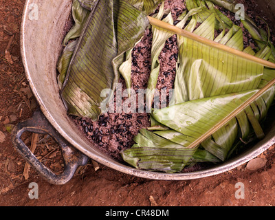 Plat de riz cubain couvert de feuilles, de Pinar del Rio, Cuba, l'Amérique latine Banque D'Images