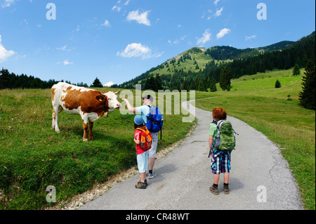 Les randonneurs avec GC, le pâturage de montagne en route vers Mt, Wildalpjoch Sudelfeld région, Haute-Bavière, Bavaria, Germany, Europe Banque D'Images