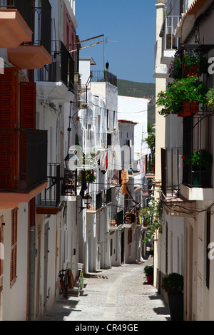 Rue typique de Dalt Vila, ville fortifiée, UNESCO World Heritage Site, Ibiza, Baléares, Espagne, Europe Banque D'Images