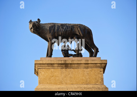 France, Aude, Narbonne, Place du Forum, copie du loup elle avec Romulus et Remus Banque D'Images