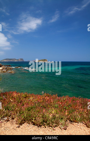 Côte de Es Canar, Ibiza, Baléares, Espagne, Europe Banque D'Images