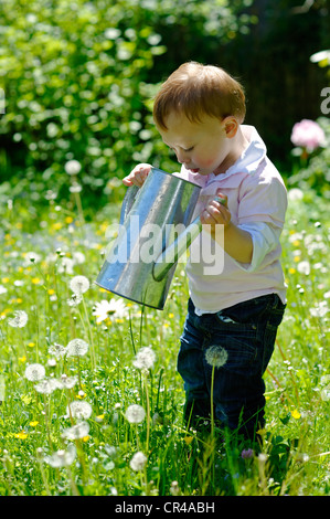 Petit garçon, deux ans, jouer avec un arrosoir dans le jardin Banque D'Images