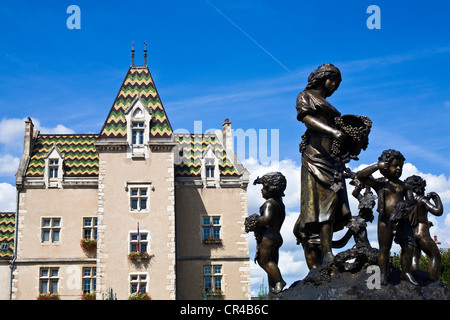 France, Côte d'Or, Meursault, fontaine et hôtel de ville avec ses tuiles vernissées qui a été filmé plusieurs scènes de Gérard Oury Banque D'Images