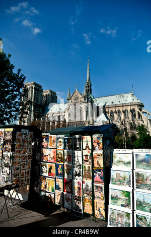 Vente de livres d'occasion, Quai de la Tournelle, et la Cathédrale Notre Dame de la ville de Paris, France, Europe Banque D'Images