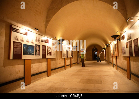 France, Paris, le Quartier Latin, le Panthéon, la crypte Banque D'Images