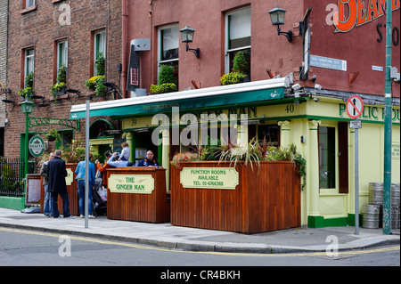 L'homme Gingembre pub sur Merrion Square, Dublin, République d'Irlande, Europe Banque D'Images