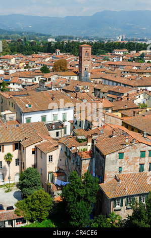 Avis de Torre Palazzo tour Guinigi, Lucca, Toscane, Italie, Europe Banque D'Images