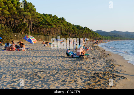 Plage de Punta Ala, Mer Méditerranée, Toscane, Italie, Europe Banque D'Images