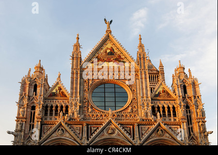 Façade occidentale, Duomo di Siena, Cattedrale di Santa Maria Assunta cathedral, Siena, Toscane, Italie, Europe Banque D'Images