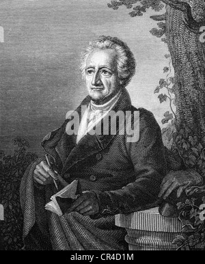 Johann Wolfgang von Goethe (1749-1832), poète, dessin et engrving par C.A. 1832 Schwerdgeburth Banque D'Images