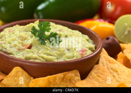 Guacamole maison, une sauce mexicaine de l'avocat, l'oignon et la tomate, garni d'une feuille de coriandre Banque D'Images