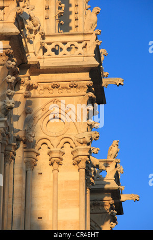 France, Paris, Ile de la Cité, Notre Dame de Paris, les gargouilles sur la tour nord Banque D'Images