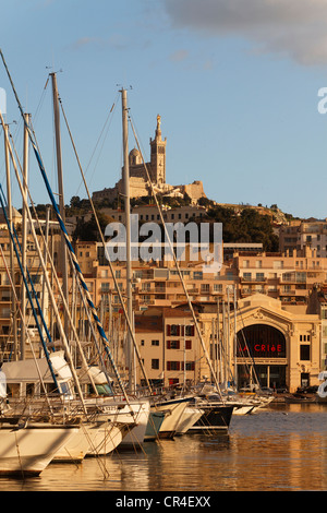 Vieux Port, vieux port de Marseille, l'église Notre Dame de la garde à l'arrière, Bouches-du-Rhône, Provence, France, Europe Banque D'Images