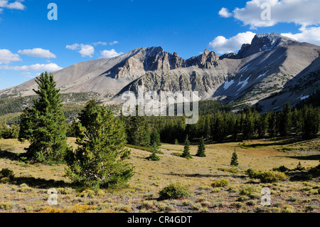 Mont Wheeler, Parc National du Grand Bassin, Nevada, USA, Amérique du Nord Banque D'Images