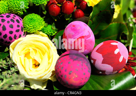 Rangée d'oeufs de Pâques avec Daisy sur l'herbe verte fraîche Banque D'Images