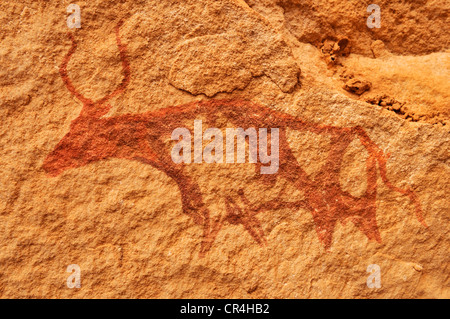 Vache peint, à l'art rupestre néolithique Tin Meskis, Adrar N'Ahnet, Algérie, Sahara, Afrique du Nord Banque D'Images