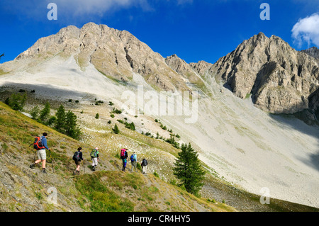 Randonnée, trekking sur un sentier alpin dans le Parc National du Mercantour, Verdon haute montagne, Alpes-de-Haute-Provence, France Banque D'Images