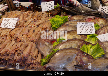 Marché de poissons hall, Campo de la Pescaria, marché du Rialto, quartier de San Polo, Venise, Vénétie, Italie, Europe Banque D'Images