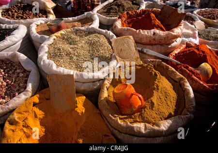 La Tunisie, le Gouvernorat de Kebili, Douz, le marché central de Bing, safran, harissa (sauce chili chaud local) et sacs de carvi Banque D'Images