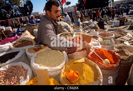 Le Gouvernorat de Kébili Tunisie Douz bing safran central market local harissa sauce chili chaud sacs carvi essentials pour les Tunisiens Banque D'Images