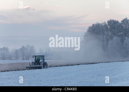 Agriculteur labourant son champ d'hiver, plaine de Limagne, Auvergne, France, Europe Banque D'Images