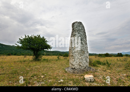 Menhir de Le Coulet près de Navacelles, Causse de Blandas, les Causses et les Cévennes, culturel de l'agro-pastoralisme méditerranéen Banque D'Images