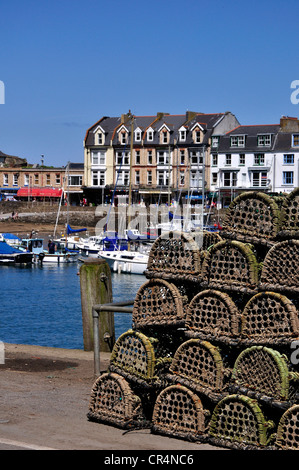 Le port de la côte nord du Devon Ilfracombe à homard Banque D'Images