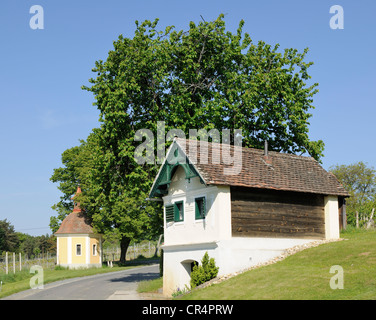 Maison vigneronne sur csaterberg mountain, kohfidisch, Burgenland, Autriche, Europe Banque D'Images