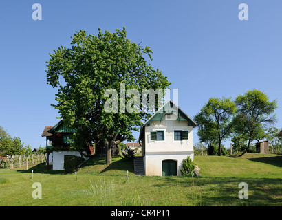 Maison vigneronne sur csaterberg mountain, kohfidisch, Burgenland, Autriche, Europe Banque D'Images